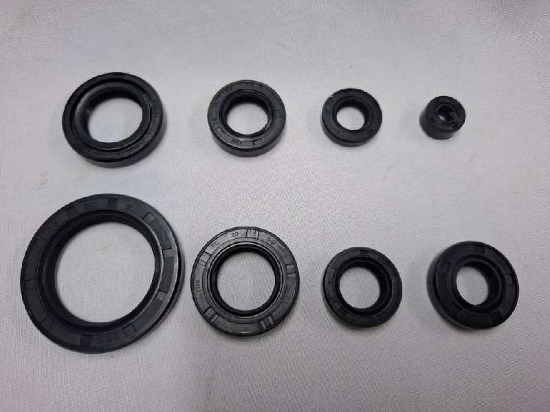 Сальники 172 FMM (8 шт)