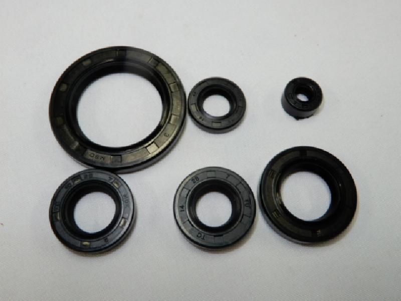 Сальники 172 FMM (6 шт.)