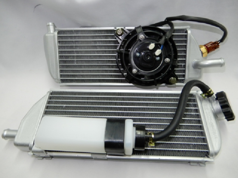 Радиаторы Regulmoto Legend 300 (арт. 33-25-18-2,2)