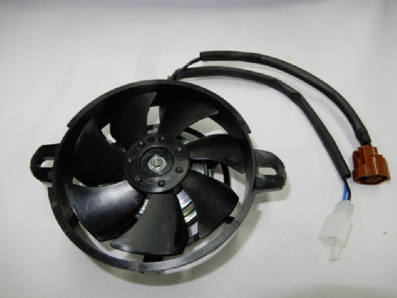 Вентилятор радиатора Regulmoto Legend 300