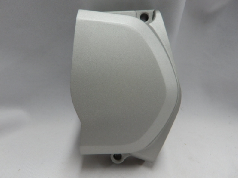 Крышка цепи питбайк (СТАРТЕР)125-140 сс (светлая) Regul Pilot