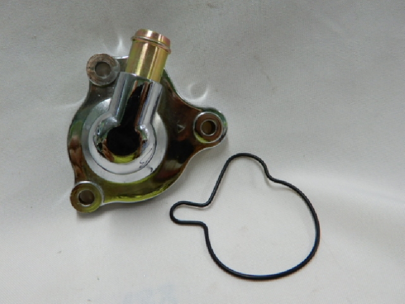 Крышка помпы Regulmoto NB300, 174MN, (CB300) с прокладкой