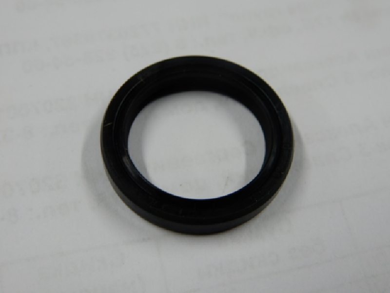 Сальник 17х25х3 Avantis Enduro 250