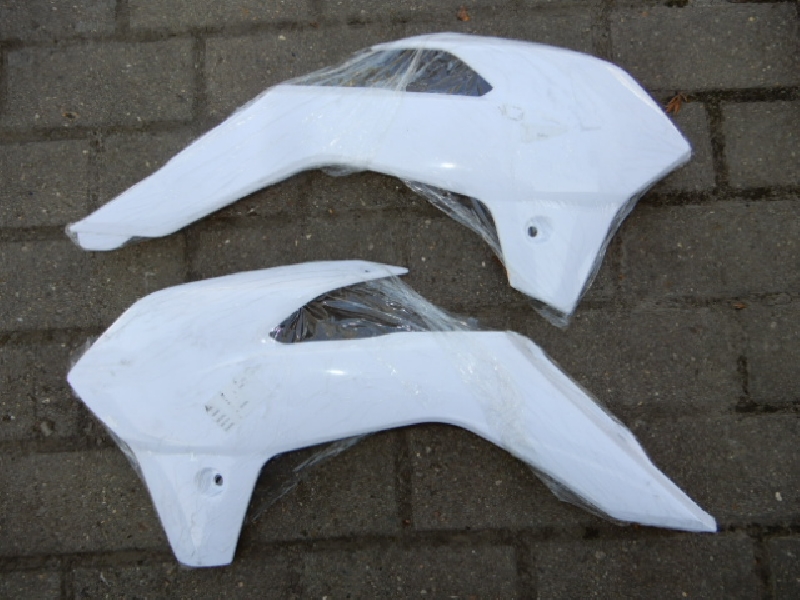 Regulmoto ATHLETE 250 21/18 пластик на бак левый + правый