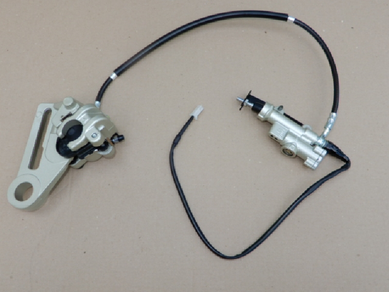 Задняя тормозная система Regulmoto Legend 300,Aqua,Dyna,Holeshot