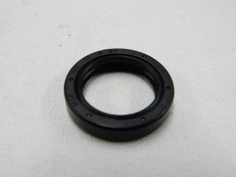 Сальник 17х24х5 прогрессии Kayo T2