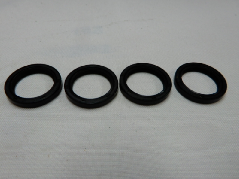 Сальники прогрессии NIBBI 300NC (20х26х4)