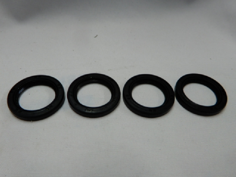 Сальники прогрессии NIBBI 300NC (25х35х5)