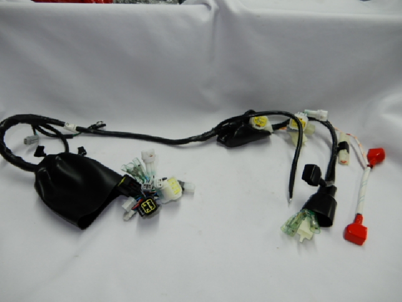 Проводка Regulmoto Legend 300