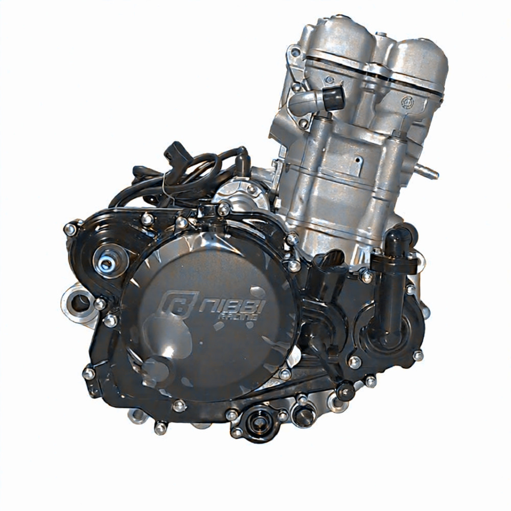 Двигатель ZS182MN (NC300) Regulmoto NIBBI