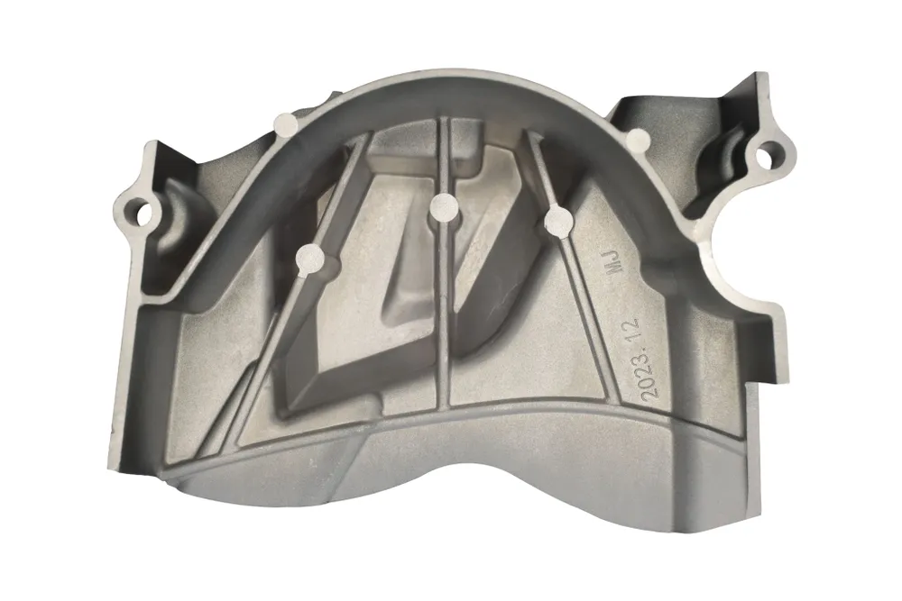 Защита ведущей звезды Progasi IBIZA 300, Progasi Super Max 300 Pro