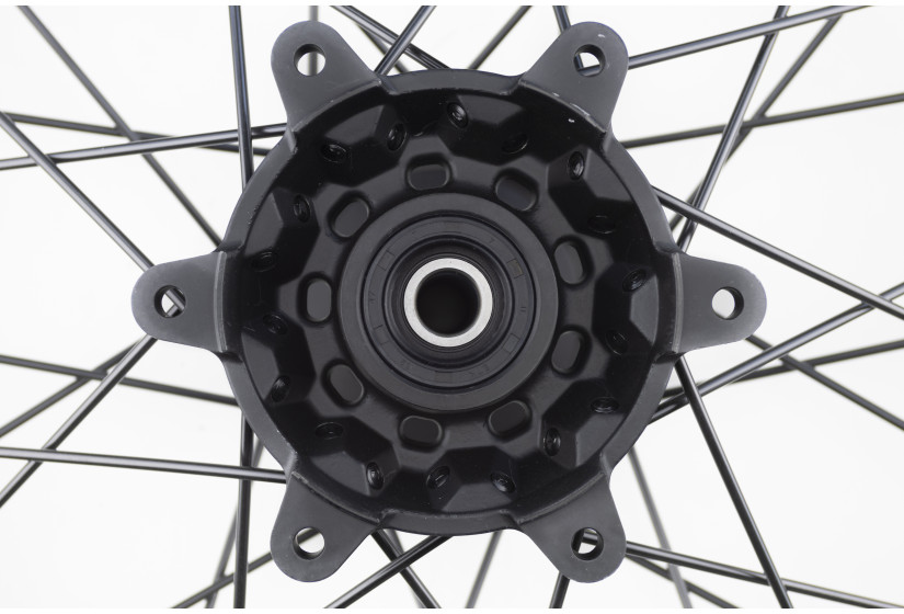 Диск заднего колеса PROGASI SUPER MAX 250/300 (в сборе)